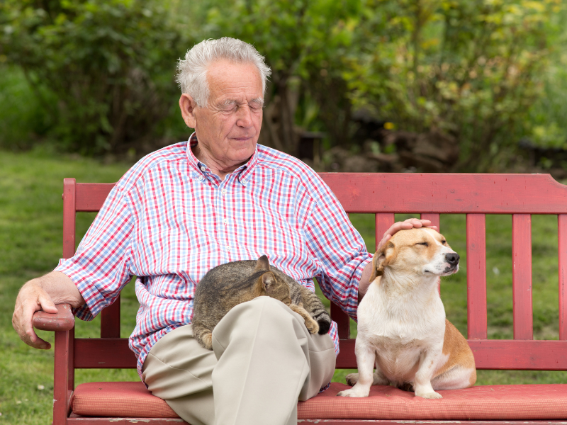 Senior with his Pets