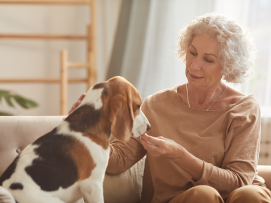 Home Care Agencies in Philadelphia Know the Healing Power of Pets for Seniors