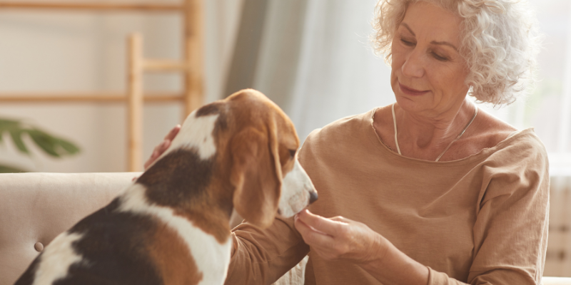 Home Care Agencies in Philadelphia Know the Healing Power of Pets for Seniors